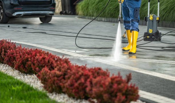 Best Vinyl Siding Pressure Washing in New Rockford, ND